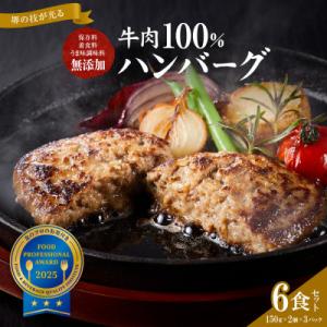 ふるさと納税 堺市 堺の技が光る無添加 牛肉100%ハンバーグ　ハンバーグ6食セット