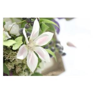 ふるさと納税 北上市 【空気をキレイにするお花...の詳細画像1
