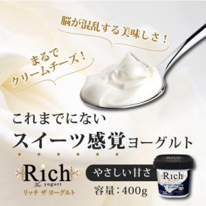 ふるさと納税 兵庫県 共進牧場 リッチザヨーグルト 400g×6個