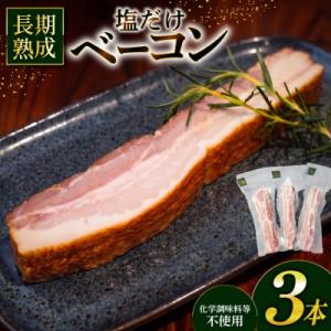 ふるさと納税 江南市 完全無添加塩だけベーコン(ブロック)