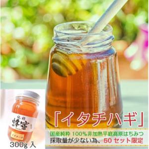 ふるさと納税 久慈市 【希少】「はちみつ イタチハギ 300g」国産 純粋 非加熱 無加糖 無添加 ...