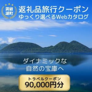 ふるさと納税 洞爺湖町 北海道ツアー 洞爺湖温泉 後から選べる旅行Webカタログで使える! 旅行クー...
