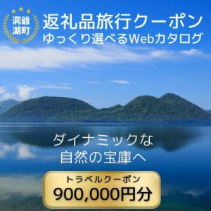 ふるさと納税 洞爺湖町 北海道ツアー 洞爺湖温泉 後から選べる旅行Webカタログで使える! 旅行クー...