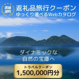 ふるさと納税 洞爺湖町 北海道ツアー 洞爺湖温泉 後から選べる旅行Webカタログで使える! 旅行クー...