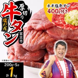ふるさと納税 宮古市 宮古の厚切り塩だれ牛タン1.0kg【タン先あり】+ねぎ塩牛タン400g【成型肉...