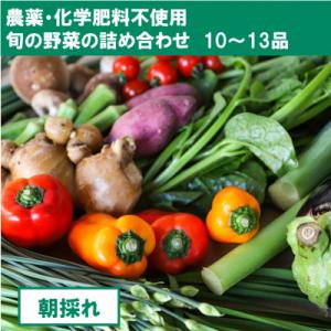 ふるさと納税 高知市 【栽培期間中農薬・化学肥料不使用】土佐の太陽をいっぱいに浴びた旬の野菜セット「...