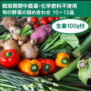 ふるさと納税 高知市 【栽培期間中農薬・化学肥料不使用】生姜100gと旬の野菜10〜13品セット【B...