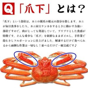 ふるさと納税 敦賀市 ボイルずわいがに 爪下棒...の詳細画像2