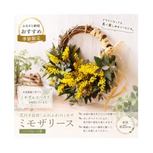 ふるさと納税 倉敷市 「春を届ける|フレッシュ...の詳細画像1