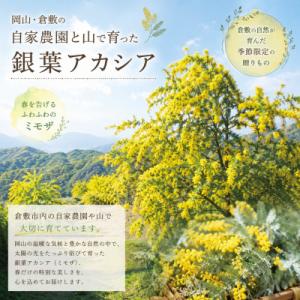ふるさと納税 倉敷市 「春を届ける|フレッシュ...の詳細画像3