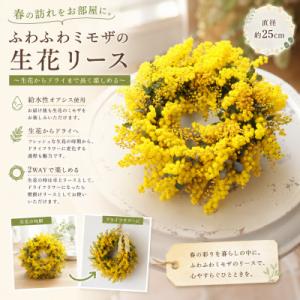 ふるさと納税 倉敷市 春の訪れを届ける|ふわふわミモザの生花リース【2027年2月下旬-3月下旬 発送予定】