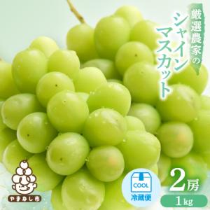ふるさと納税 山梨市 【Yahoo!ふるさと納税限定】【2026年発送 先行受付】シャインマスカット　2房 1kg