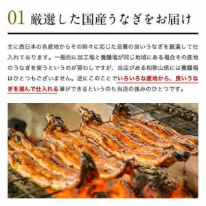 ふるさと納税 有田市 【Yahoo!ふるさと納...の詳細画像2