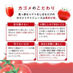 ふるさと納税 富士見町 カゴメ トマトジュース...の詳細画像3