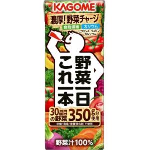 ふるさと納税 富士見町 カゴメ 野菜一日これ一本 200ml 紙パック 24本入