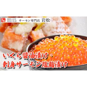ふるさと納税 新潟市 いくら醤油漬け・刺身サーモン塩麹漬け 新潟 [54070426]
