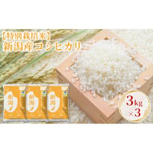 ふるさと納税 新潟市 【特別栽培米】新潟産コシヒカリ 3kg×3 [54070973]