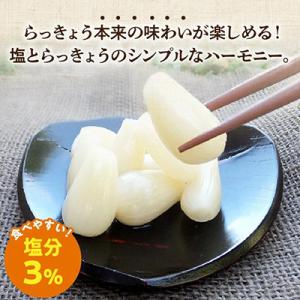 ふるさと納税 南九州市 鹿児島県産砂丘らっきょ...の詳細画像1