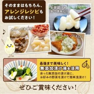 ふるさと納税 南九州市 鹿児島県産砂丘らっきょ...の詳細画像2