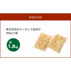 ふるさと納税 南九州市 鹿児島県産砂丘らっきょ...の詳細画像3