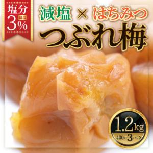 ふるさと納税 白浜町 紀州南高梅《つぶれ梅セット》はちみつ梅　塩分3%(1.2kg)