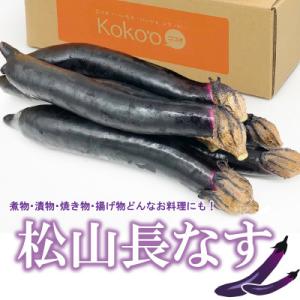 ふるさと納税 松山市 【6月下旬から発送予定】 松山 長なす　12本入り