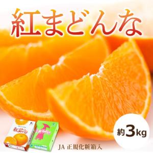 ふるさと納税 松山市 【2026年11月〜12月頃から発送予定】紅まどんな(JA正規化粧箱入り)約3...