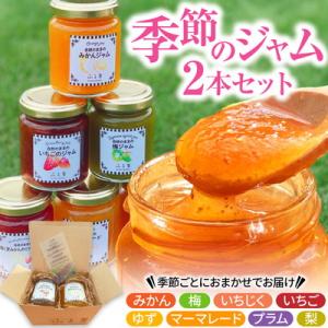 ふるさと納税 市原市 季節のジャム2本セット