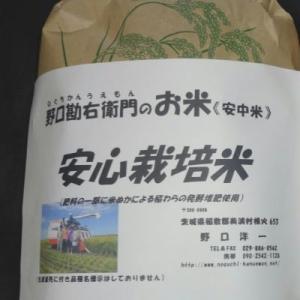ふるさと納税 美浦村 【7年産】野口勘右衛門の...の詳細画像3