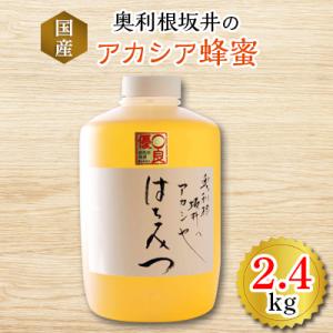 ふるさと納税 沼田市 奥利根坂井のアカシア蜂蜜2400g