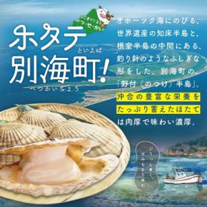 ふるさと納税 別海町 食べ応え抜群 ほたて貝柱...の詳細画像1