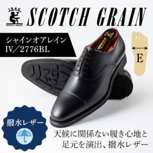 ふるさと納税 【24.5cm】＜MURATA ORIGINAL 本革紳士靴 ホールカット