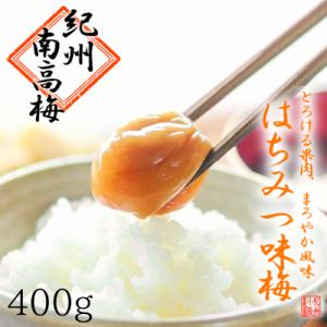 ふるさと納税 白浜町 【梅農家手づくり梅干】”ぽってり”はちみつ味梅(400g)/紀州小阪農園　【紀州南高梅】