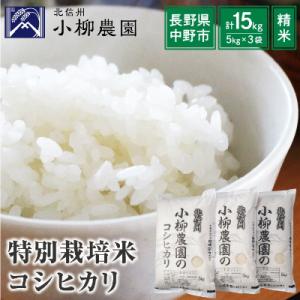 ふるさと納税 中野市 小柳農園の特別栽培米コシヒカリ15kg(5kg×3)