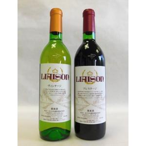 ふるさと納税 山梨県 山梨の地ワイン2本セット(日川中央葡萄酒　赤白)