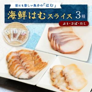 ふるさと納税 野々市市 【簡単・便利・味付け不要】海鮮はむスライス3種(ぶり・さば・たこ)詰合せ【お...