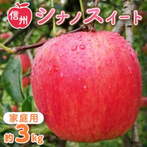 ふるさと納税 中野市 〈信州中野まつじるし農園〉シナノスイート家庭用 約3kg