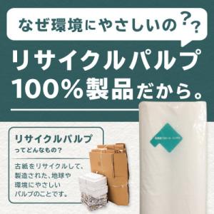 ふるさと納税 苫小牧市 紙のまち 苫小牧 ネピ...の詳細画像2
