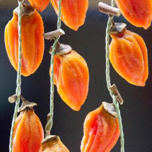 ふるさと納税 津和野町 有機JAS認証オーガニ...の詳細画像1