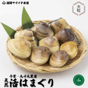 はまぐりのおすすめ人気商品一覧 通販 - Yahoo!ショッピング