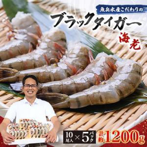ふるさと納税 ひたちなか市 魚兵水産こだわりのブラックタイガー海老　 10尾5パック(計1200g程...
