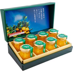 ふるさと納税 苓北町 熊本県 苓北町 果樹園のゼリーギフト 100g×8本