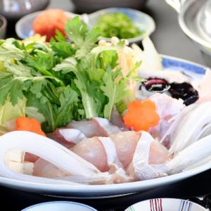 ふるさと納税 白浜町 【ふるさと納税】クエ鍋&amp;クエの刺身 1〜2人前セット 創業より60年伝わる自家...