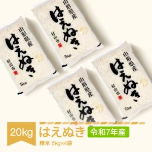 ふるさと納税 村山市 はえぬき20kg(5kg×4袋)