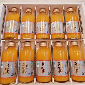ふるさと納税 湯浅町 かねよし農園の田村みかんジュース10本セット