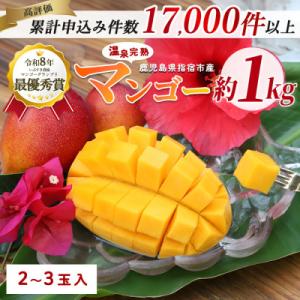 ふるさと納税 指宿市 【2026年発送】訳あり 鹿児島県いぶすき産温泉完熟マンゴー約1kg(IB057-001)