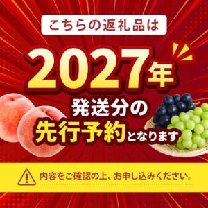 ふるさと納税 山梨市 【2027年(来年)発送...の詳細画像1