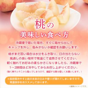 ふるさと納税 山梨市 【2027年(来年)発送...の詳細画像2