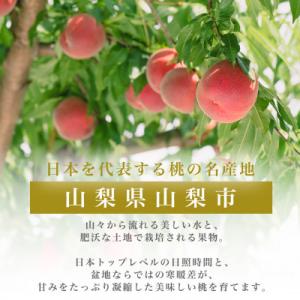 ふるさと納税 山梨市 2026年発送 約2kg...の詳細画像2
