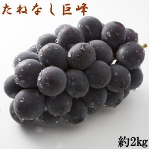 ふるさと納税 有田川町 [新鮮・産直]和歌山県有田巨峰村の朝採りたねなし巨峰約2kg【先行予約　20...